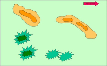 scenario map