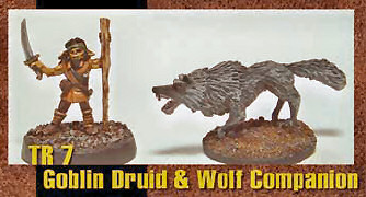 Goblin druid and wolf companion