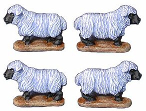 Sheep