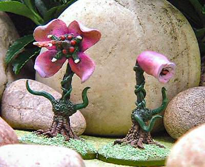 Carnivorous plants