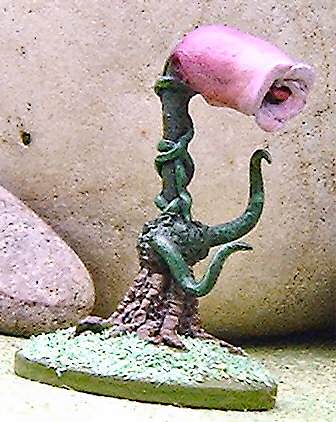 Carnivorous plant, petals closed