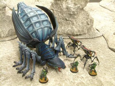Plasma Bug