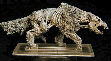 Zombie wolf