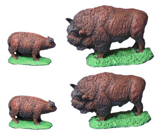 Bison