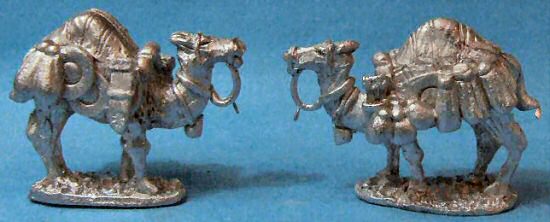 Baggage Camels