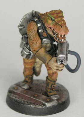 Garn with normal head