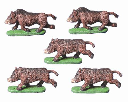 Boar