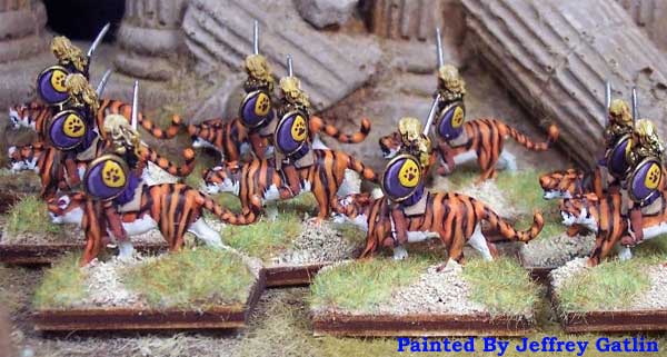 Amazon Panther Riders