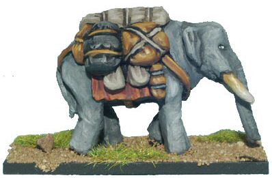 Pack elephant
