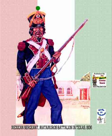 Back Cover of The Mexican Soldier