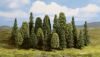 Spruce trees from Noch