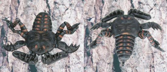 Arachnian built as a warrior (see blaster under the abdomen) with straight abdomen and folded pedipalps