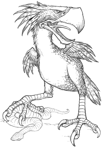 Skullcracker Bird