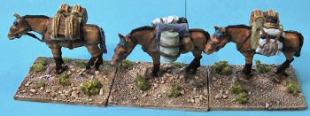 Pack mules