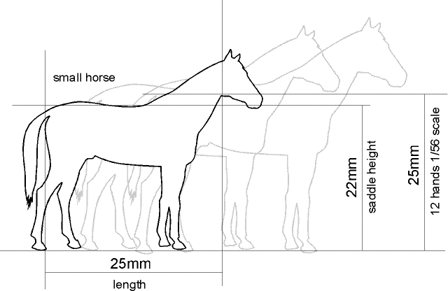 Horse sizes