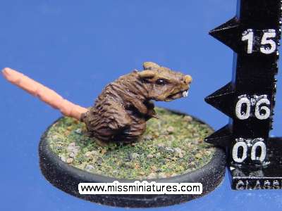 What's that nibbling at your toes?