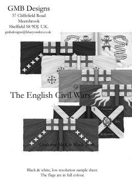 ECW Sample flags