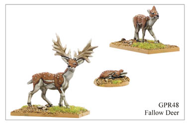 GPR48 - Fallow Deer