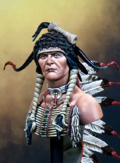 Sioux Warrior