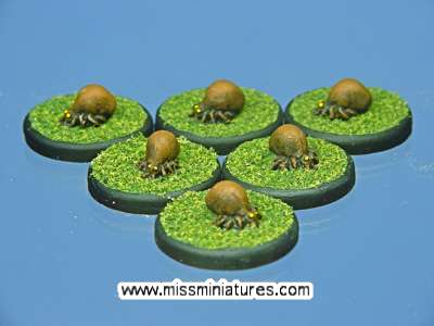 Ticks