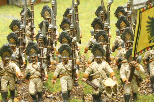 Napoleonic Austrian Grenadiers