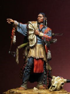Noble Sioux Warrior