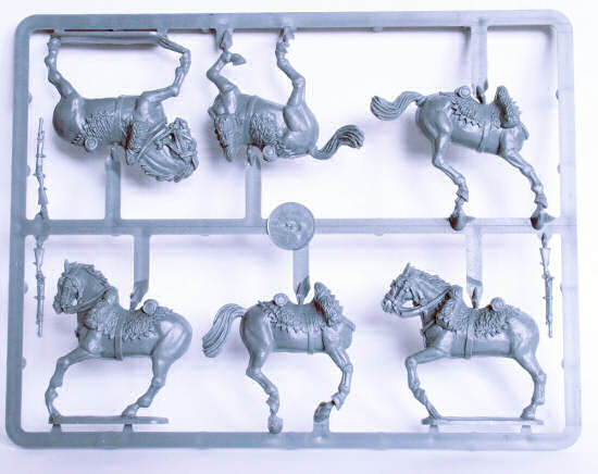 Horses sprue