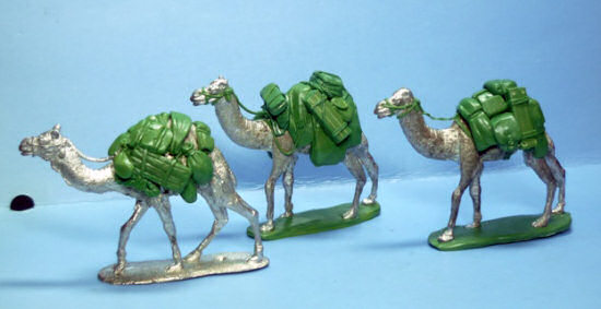 Camel Train