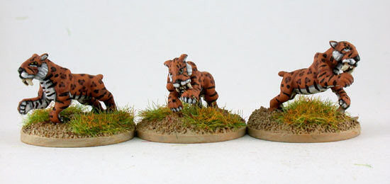 Sabretooth Tigers