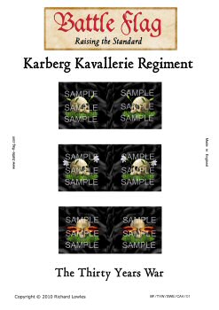 Swedish Thirty Years War Cavalry Standards from Battle Flag