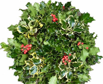 Wreath