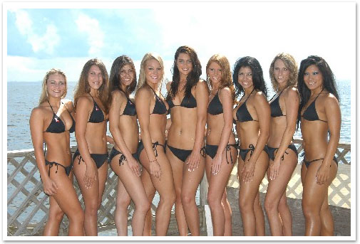 Potential New Hires