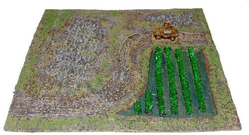 Rice paddy #1