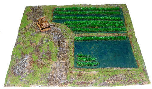 Rice paddy #2
