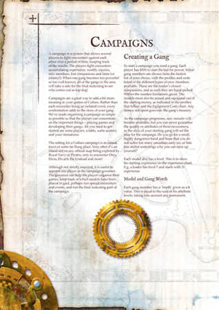 Campaign rules
