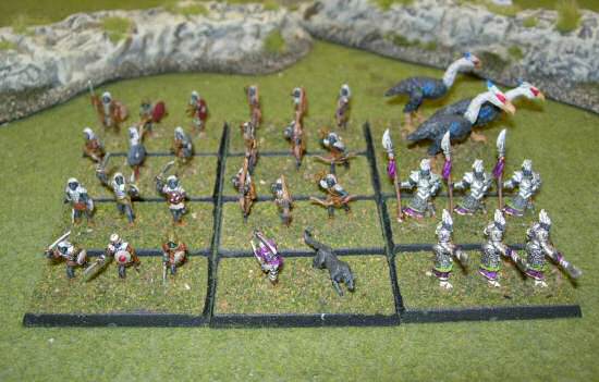 Dark Elf Border Army for Might Armies