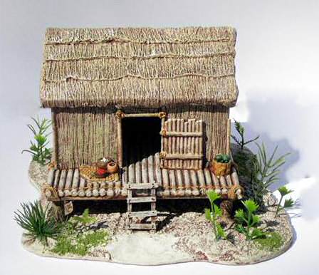 Small native house