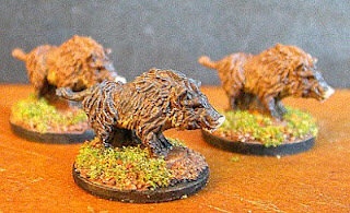 Spanish Pigs