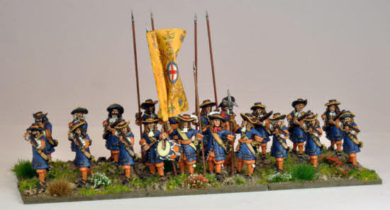 William's Dutch Blue Guard