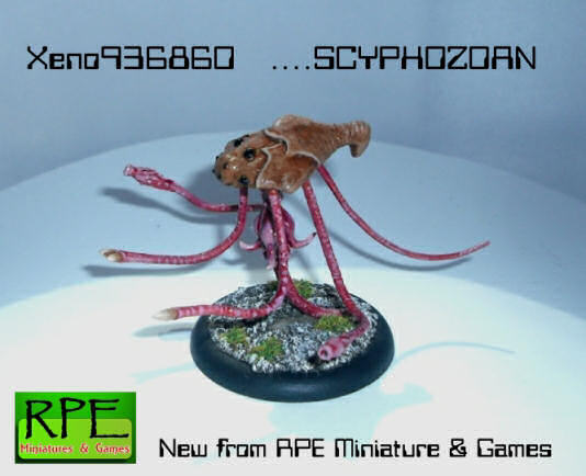 Skyphozoan from RPE