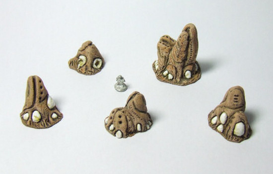 Drill Worm Nests
