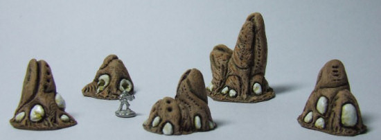 Drill Worm Nests