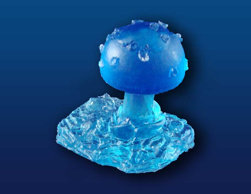 Blue Crystal Meadow Mushroom