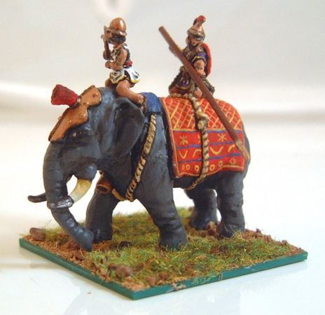 HG08 – Macedonian elephant