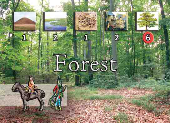 Forest