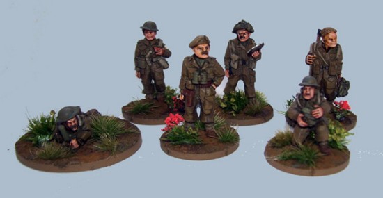 Command Section