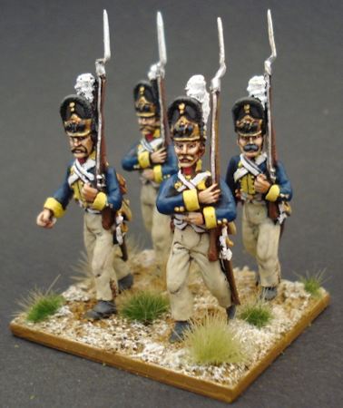 Painted Grenadiers