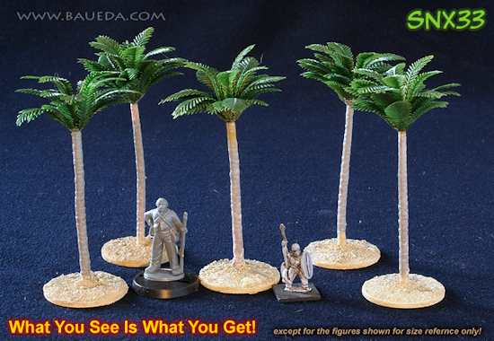 85mm palm trees