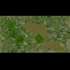 Vietnam jungle map