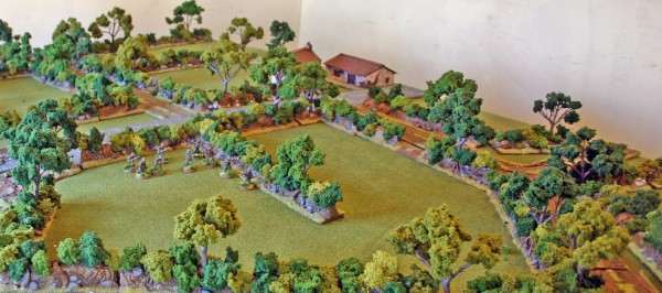 Bocage